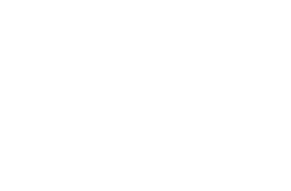 SecDSM